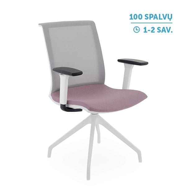 Lankytojų ir posėdžių kėdė Level_Cross_WS_R1