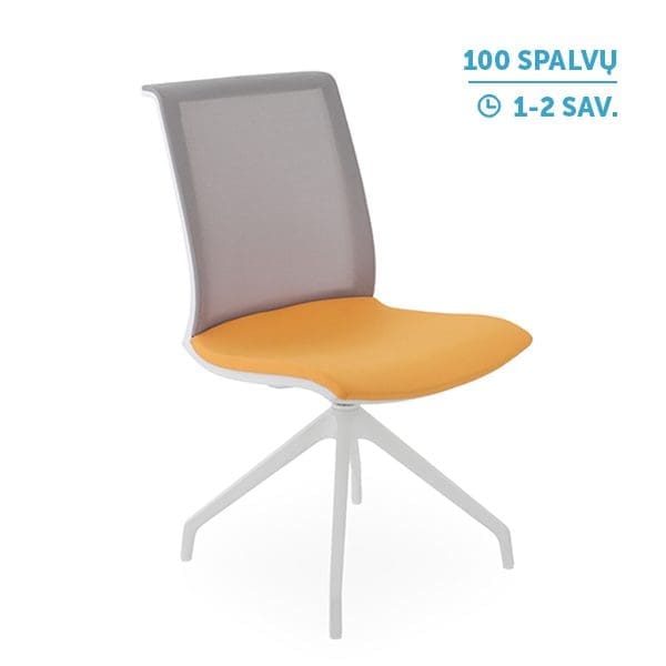 Lankytojų ir posėdžių kėdė_ Level_Cross_WS