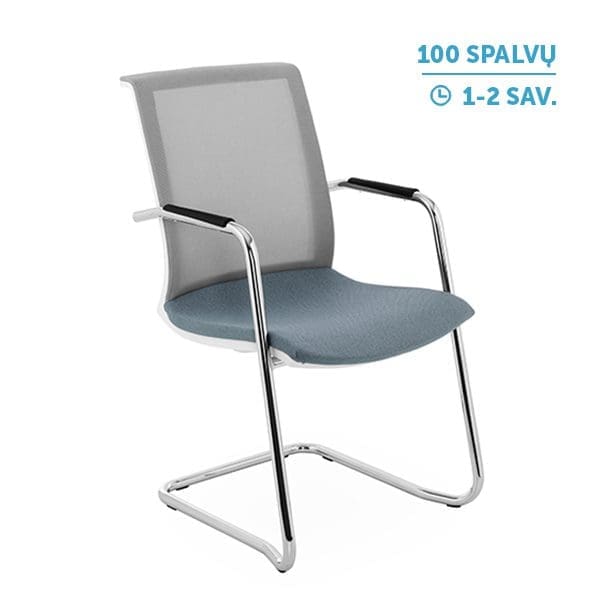 Lankytojų ir posėdžių kėdė_ Level_V_WS